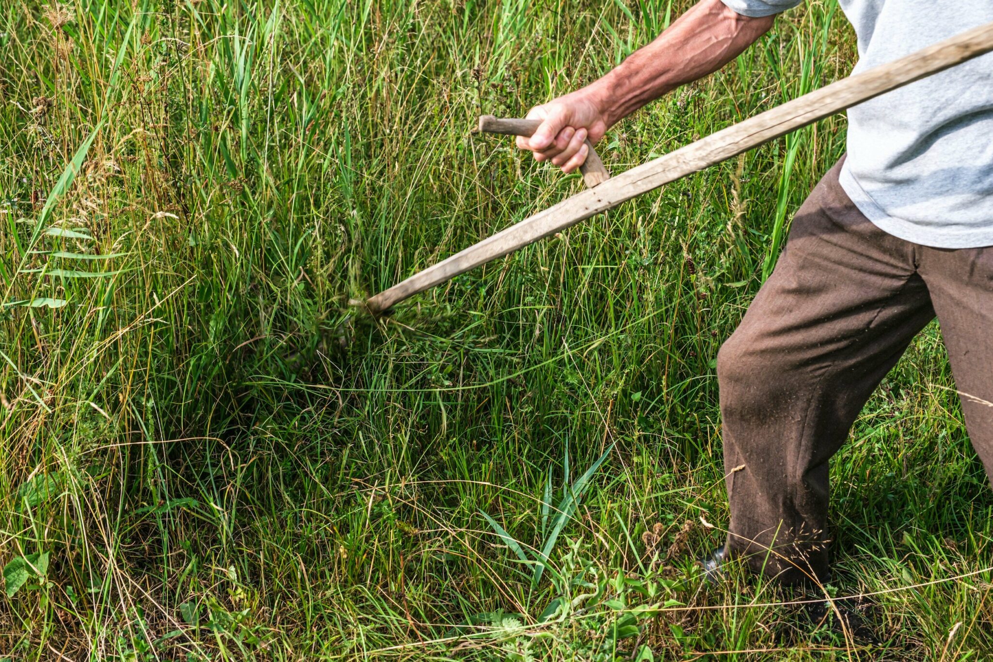 The Care And Use Of The European-style Scythe, With Jared Torkelson 